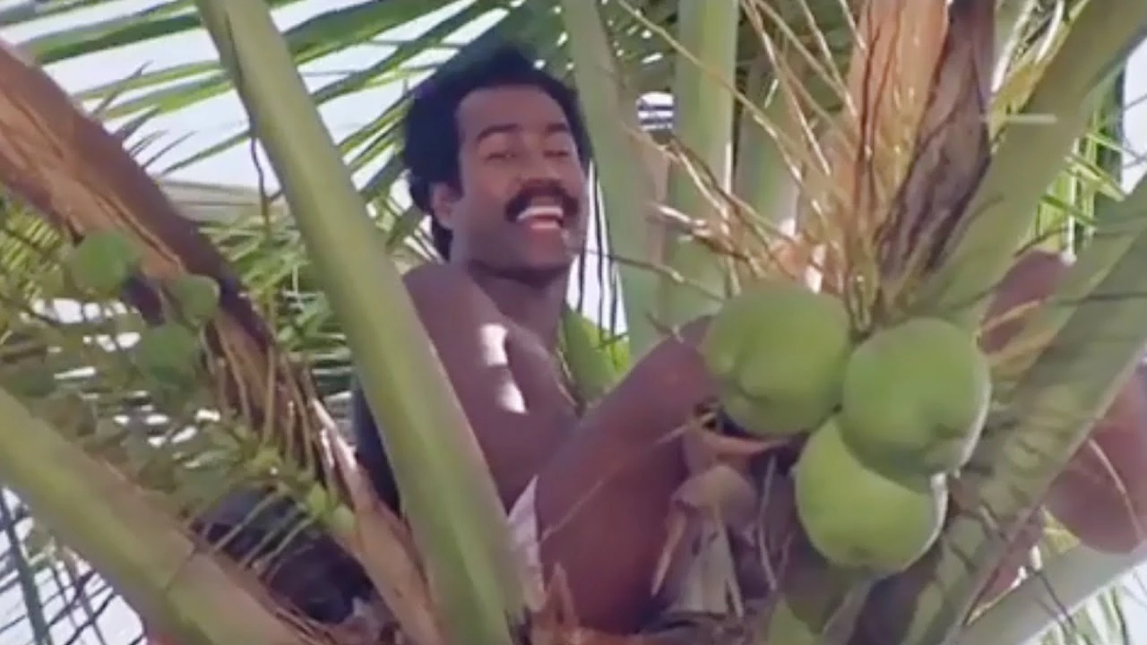 സല്ലാപം